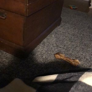 Meet your Posher, Linda